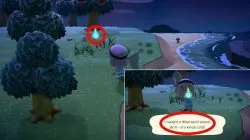 how to get wisp spirit pieces in animal crossing new horizons