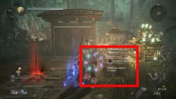 how to summon benevolent blue grave nioh 2 how to interact