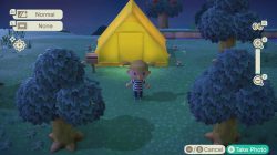 how to take pictures in animal crossing new horizons
