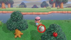 iron nuggets how to get for animal crossing new horizons new shop