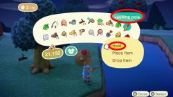 jump over river animal crossing new horizons how to use vaulting pole