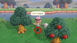 new shop animal crossing new horizons how to get 30 iron nuggets