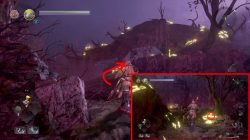 nioh 2 where to find kodama forest veiled in darkness