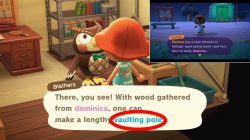 vaulting pole how to get animal crossing new horizons