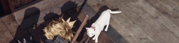 FF7 Remake Cat Locations for Lost Friends Quest
