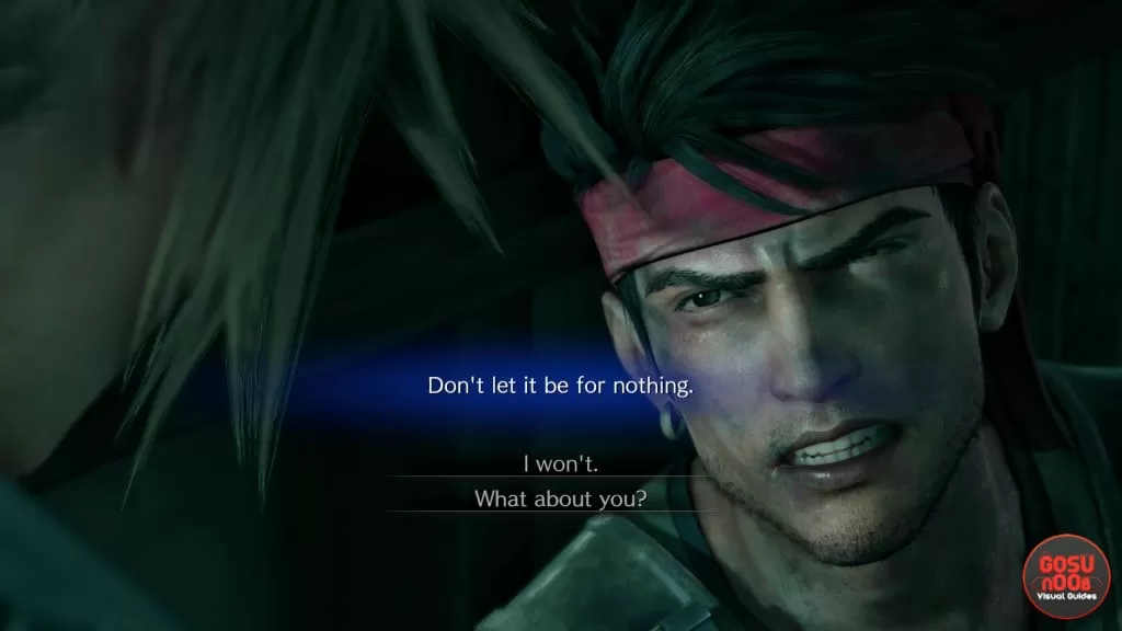 FF7 Remake Don't Let it Be for Nothing - I Won't or What about You