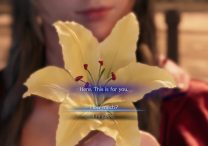 FF7 Remake Flower Peddler - How Much or I'm Good