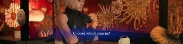 ff7 remake choose which course luxury standard poor man's