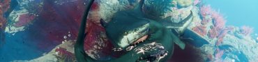 Maneater Launch Trailer Shows More Ridiculous Shark Action