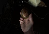 Strange Object Location in Last of-Us 2 Relic of the Sages Trophy