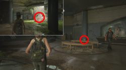 birthday gift chapter last of us 2 journal entry locations
