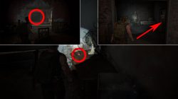 how to get relic of the sages tophy in last of us 2 strange object location