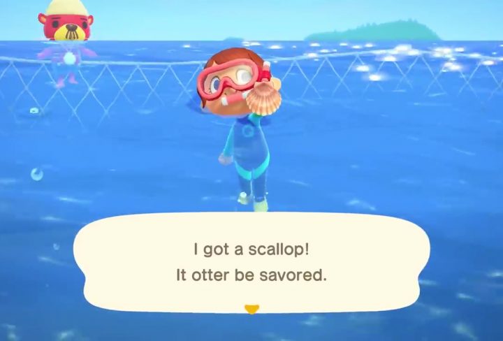 Scallop Animal Crossing New Horizons Locations