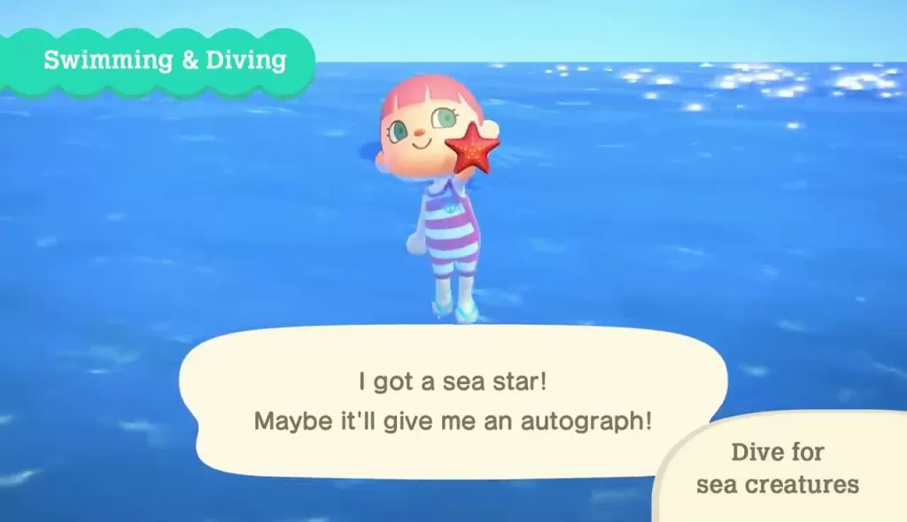 Sea Creatures Animal Crossing New Horizons