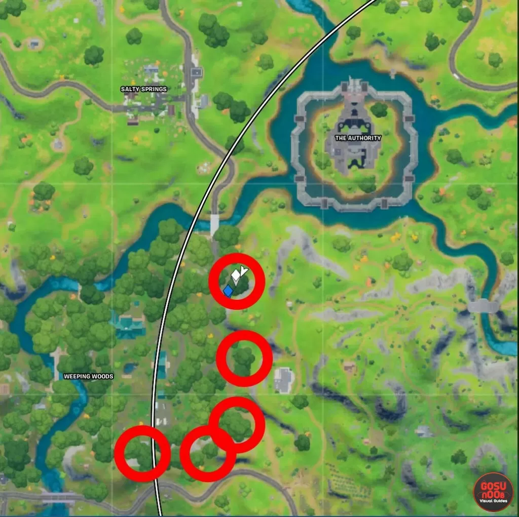 fortnite weeping woods floating rings locations