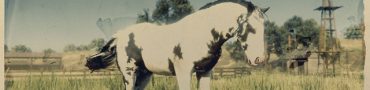 gypsy cob red dead online new horse