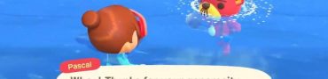 how to find pascal animal crossing new horizons