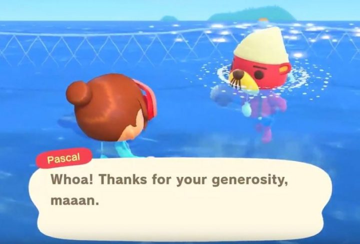 how to find pascal animal crossing new horizons