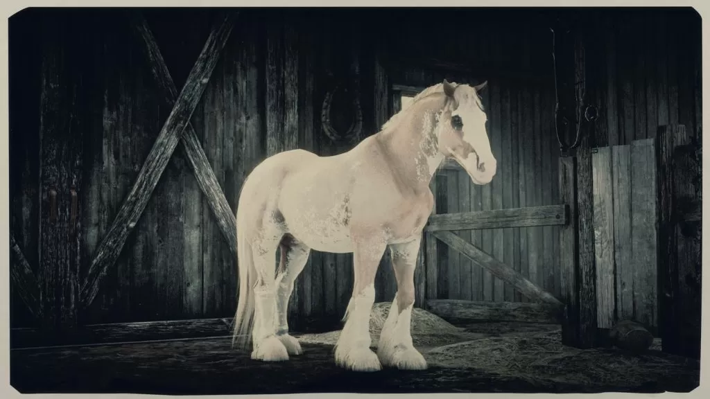 how to get gypsy cob new red dead online horse