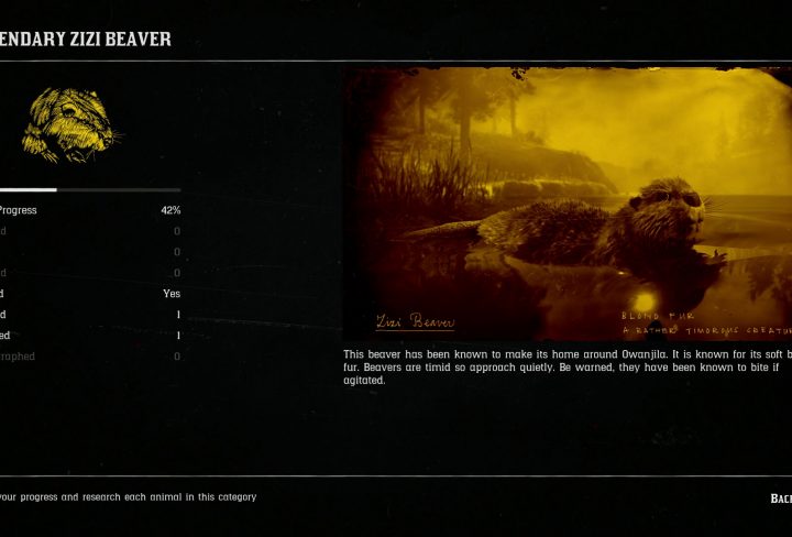 legendary beaver locations rdr2 online