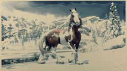 new horse gypsy cob red dead online