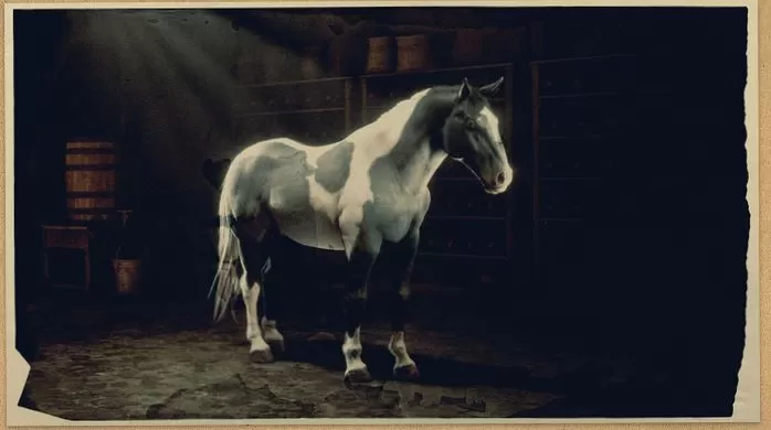 norfolk roadster horse rdr2 online