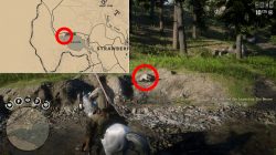rdr2 online legendary beaver location where to find