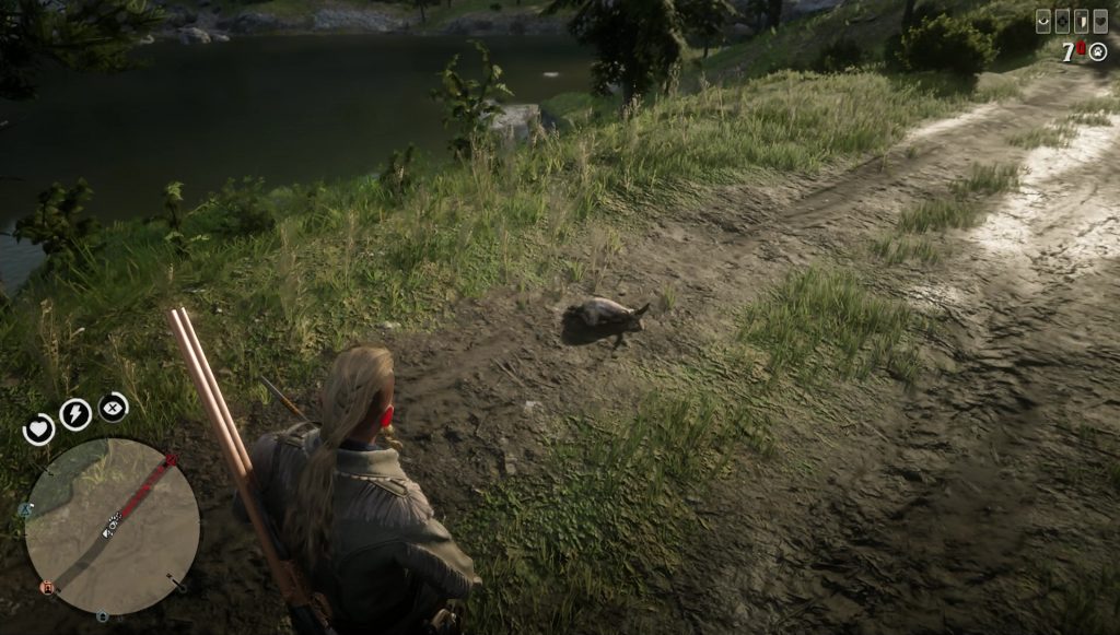 red dead online how to sedate animals collect samples