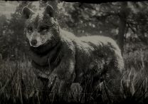 timber wolf locations rdr2 online