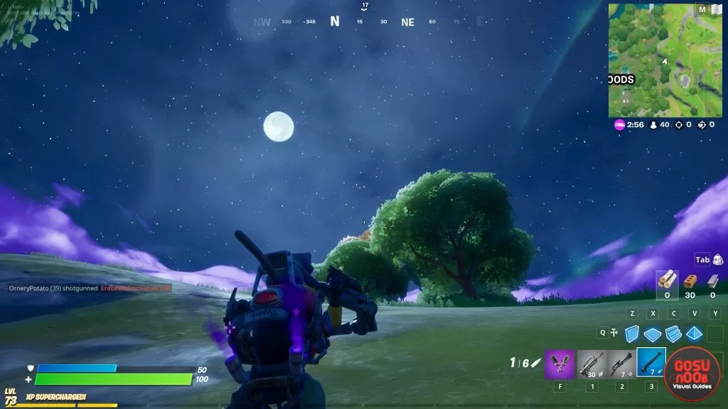 Fortnite Time Day Fireflies Spawn