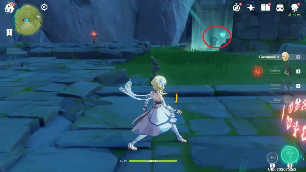 cecilia garden puzzle spirit locations