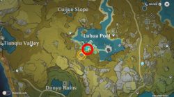 strange stone location genshin impact luhua landscape