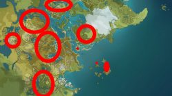 where to find cor lapis locations genshin impact