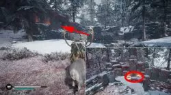 how to find & enter waterfall assassins creed valhalla mistress of the iron wood