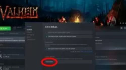 how to enable valheim vulkan api