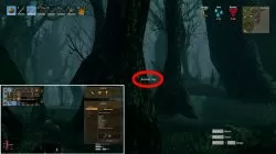 how to get ancient bark valheim