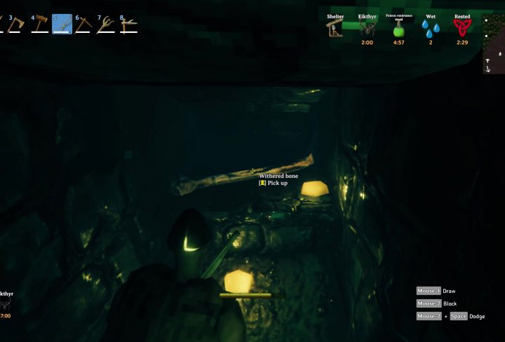 valheim withered bone locations