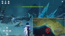 how to complete genshin impact take picture adventurers in windblume