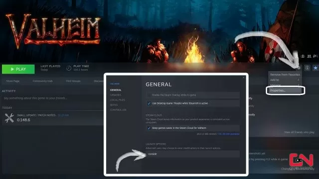 how to enable console commands not working valheim