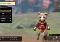 monster hunter rise palico best support type can you change it later