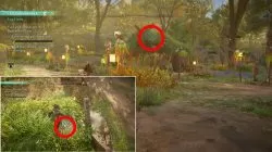 ostara festival easter egg locations assassins creed valhalla