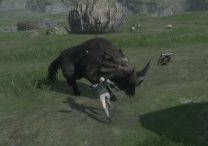Nier Replicant Defeat Wild Boar How to Kill it for Boar Hunt Quest