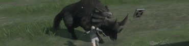 Nier Replicant Defeat Wild Boar How to Kill it for Boar Hunt Quest