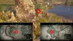 wrath of the druids assassins creed valhalla wren clue locations