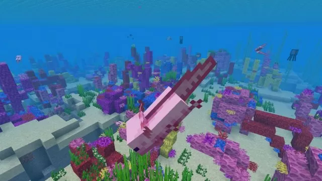 Minecraft Axolotls - How to tame Axolotl, what do Axolotls eat