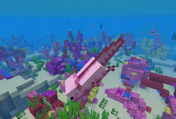 Minecraft Axolotls - How to tame Axolotl, what do Axolotls eat