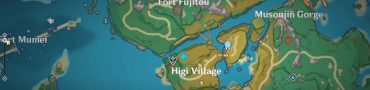 Higi Village Sword Chest Puzzle Genshin Impact