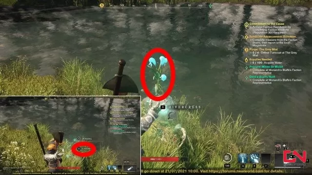 where to find water arcana new world ice gauntlet