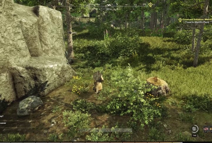 How to Get Fae Iron - New World