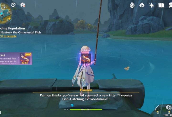 how to catch ornamental fish genshin impact serenitea pot pet fish